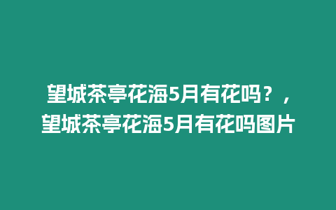 望城茶亭花海5月有花嗎？，望城茶亭花海5月有花嗎圖片