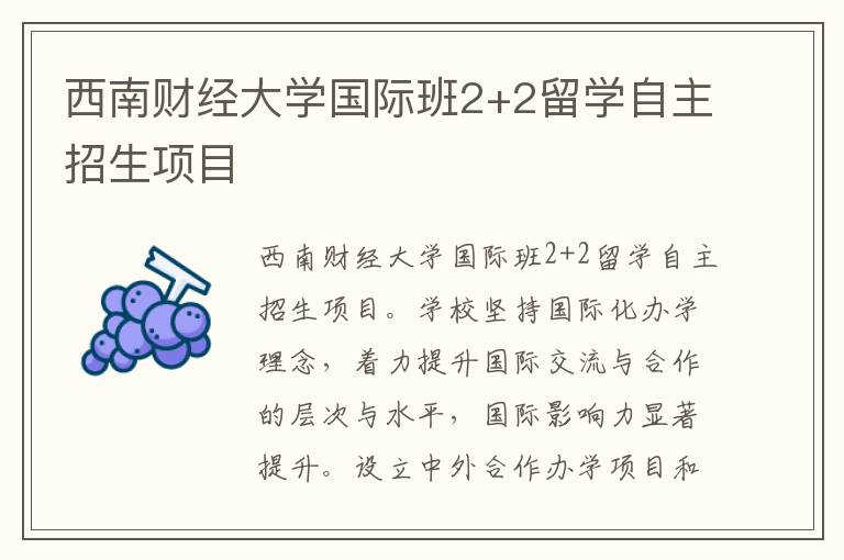 西南財經大學國際班2+2留學自主招生項目