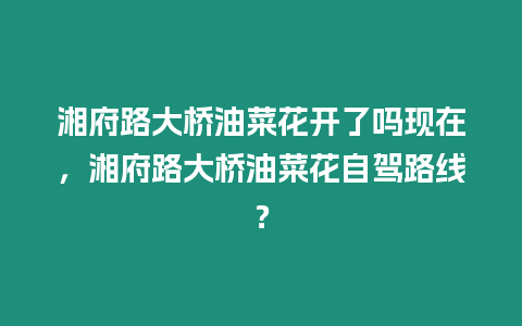 湘府路大橋油菜花開了嗎現在，湘府路大橋油菜花自駕路線？