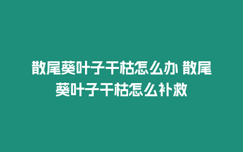 散尾葵葉子干枯怎么辦 散尾葵葉子干枯怎么補救