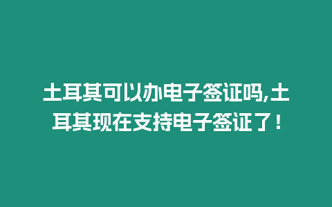 土耳其可以辦電子簽證嗎,土耳其現在支持電子簽證了！