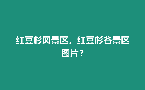 紅豆杉風景區，紅豆杉谷景區圖片？