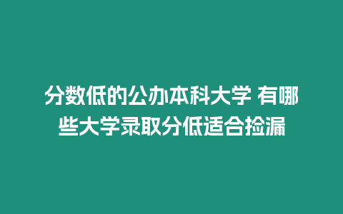 分數(shù)低的公辦本科大學 有哪些大學錄取分低適合撿漏