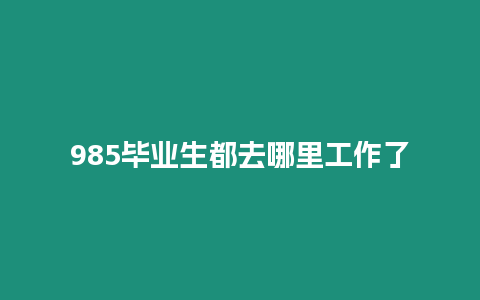 985畢業生都去哪里工作了