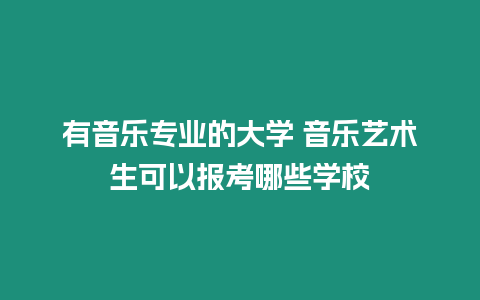 有音樂專業的大學 音樂藝術生可以報考哪些學校