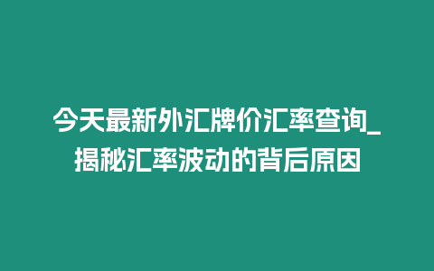 今天最新外匯牌價匯率查詢_揭秘匯率波動的背后原因