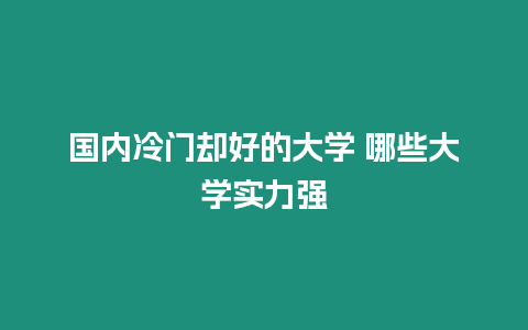 國內冷門卻好的大學 哪些大學實力強