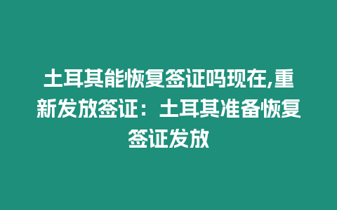 土耳其能恢復簽證嗎現在,重新發放簽證：土耳其準備恢復簽證發放