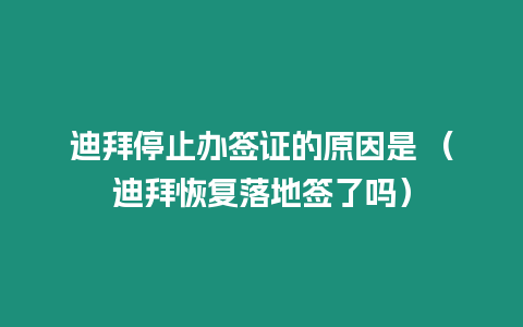 迪拜停止辦簽證的原因是 （迪拜恢復落地簽了嗎）