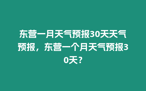 東營一月天氣預報30天天氣預報，東營一個月天氣預報30天？