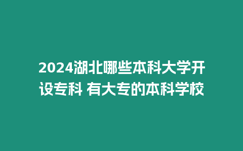 2024湖北哪些本科大學(xué)開設(shè)專科 有大專的本科學(xué)校