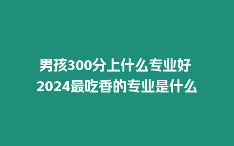 男孩300分上什么專業好 2024最吃香的專業是什么