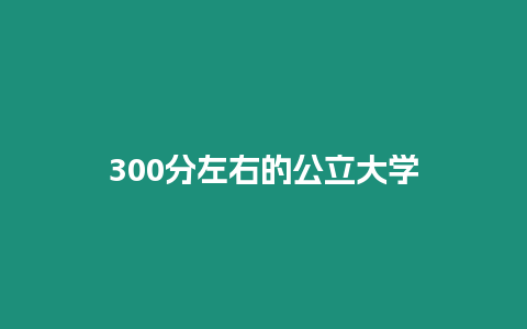 300分左右的公立大學