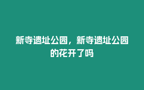 新寺遺址公園，新寺遺址公園的花開了嗎