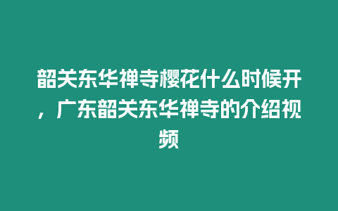 韶關東華禪寺櫻花什么時候開，廣東韶關東華禪寺的介紹視頻