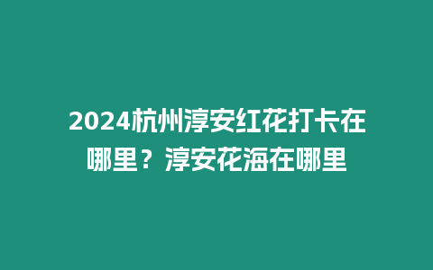 2024杭州淳安紅花打卡在哪里？淳安花海在哪里