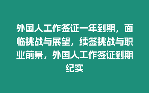 外國人工作簽證一年到期，面臨挑戰與展望，續簽挑戰與職業前景，外國人工作簽證到期紀實