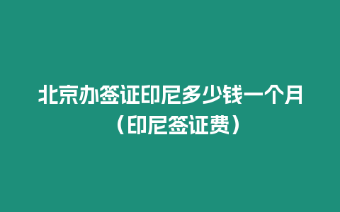 北京辦簽證印尼多少錢一個月 （印尼簽證費）