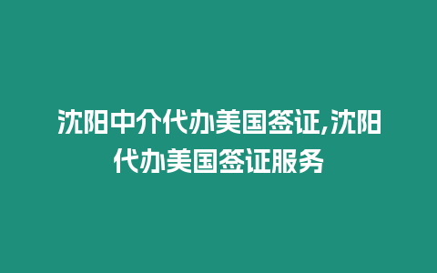 沈陽中介代辦美國簽證,沈陽代辦美國簽證服務