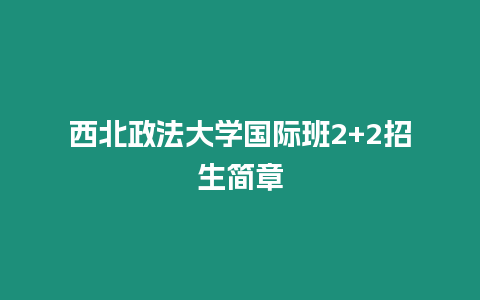 西北政法大學國際班2+2招生簡章