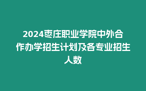 2024棗莊職業學院中外合作辦學招生計劃及各專業招生人數