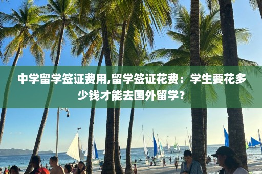 中學留學簽證費用,留學簽證花費：學生要花多少錢才能去國外留學？