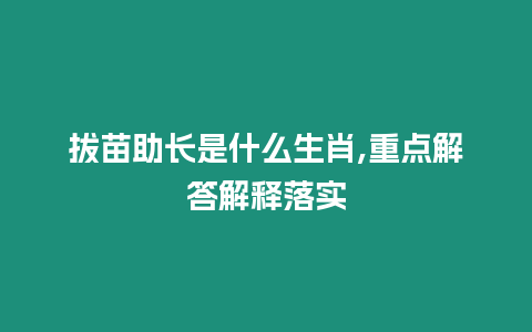 拔苗助長是什么生肖,重點解答解釋落實