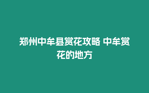 鄭州中牟縣賞花攻略 中牟賞花的地方