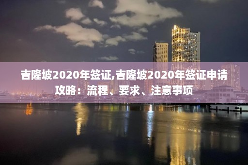 吉隆坡2024年簽證,吉隆坡2024年簽證申請攻略：流程、要求、注意事項