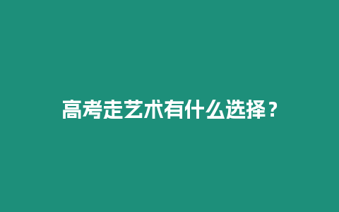 高考走藝術有什么選擇？