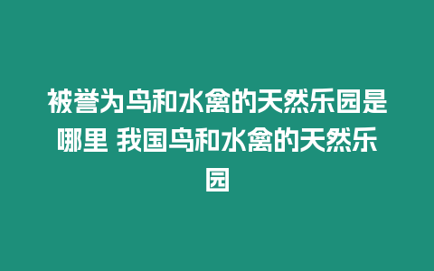 被譽為鳥和水禽的天然樂園是哪里 我國鳥和水禽的天然樂園