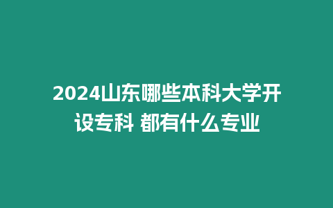 2024山東哪些本科大學(xué)開設(shè)?？?都有什么專業(yè)