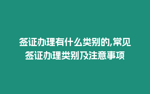 簽證辦理有什么類別的,常見簽證辦理類別及注意事項