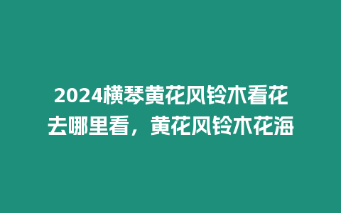 2024橫琴黃花風鈴木看花去哪里看，黃花風鈴木花海