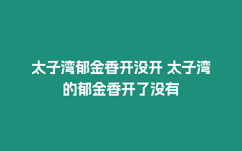 太子灣郁金香開沒開 太子灣的郁金香開了沒有