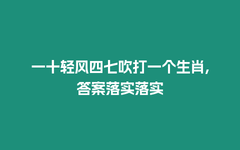 一十輕風四七吹打一個生肖,答案落實落實