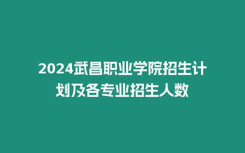 2024武昌職業(yè)學(xué)院招生計劃及各專業(yè)招生人數(shù)