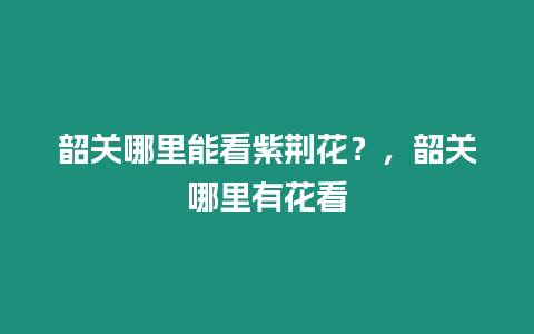 韶關哪里能看紫荊花？，韶關哪里有花看