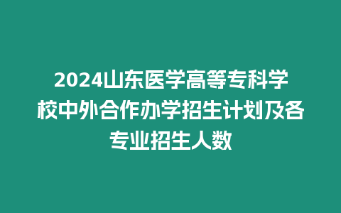 2024山東醫學高等?？茖W校中外合作辦學招生計劃及各專業招生人數