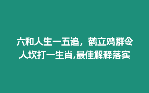 六和人生一五追，鶴立雞群令人坎打一生肖,最佳解釋落實