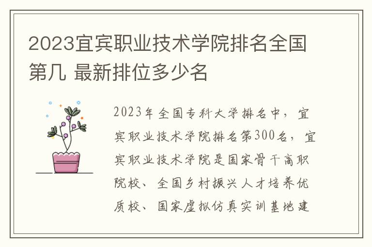 2024宜賓職業技術學院排名全國第幾 最新排位多少名