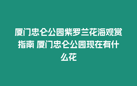 廈門忠侖公園紫羅蘭花海觀賞指南 廈門忠侖公園現(xiàn)在有什么花