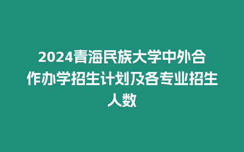 2024青海民族大學中外合作辦學招生計劃及各專業招生人數