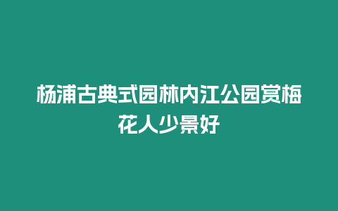 楊浦古典式園林內江公園賞梅花人少景好