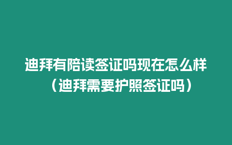 迪拜有陪讀簽證嗎現在怎么樣 （迪拜需要護照簽證嗎）