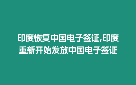 印度恢復中國電子簽證,印度重新開始發放中國電子簽證