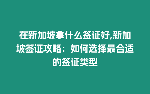 在新加坡拿什么簽證好,新加坡簽證攻略：如何選擇最合適的簽證類型