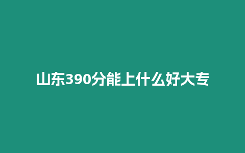 山東390分能上什么好大專