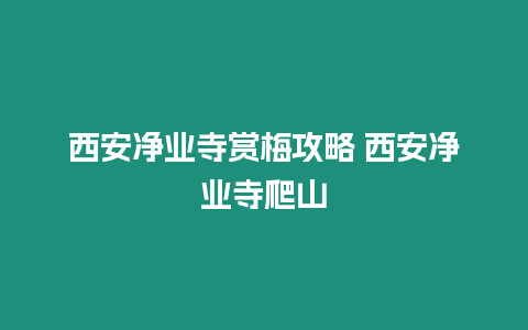 西安凈業(yè)寺賞梅攻略 西安凈業(yè)寺爬山