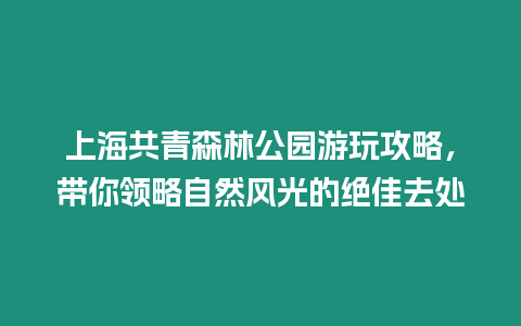 上海共青森林公園游玩攻略，帶你領略自然風光的絕佳去處